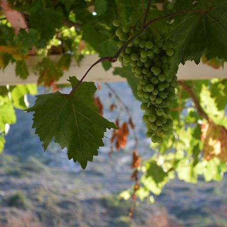 Koukos Hotel Agia Theodoti Luaran gambar